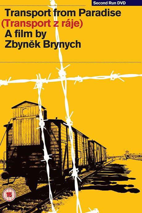 Transport from Paradise